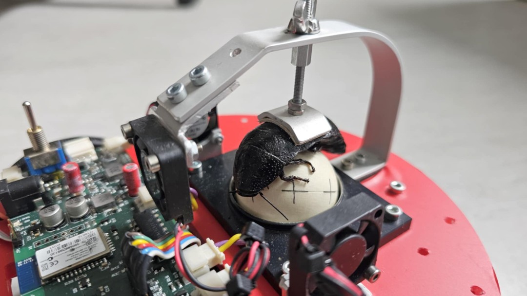 mobile robot pic 2