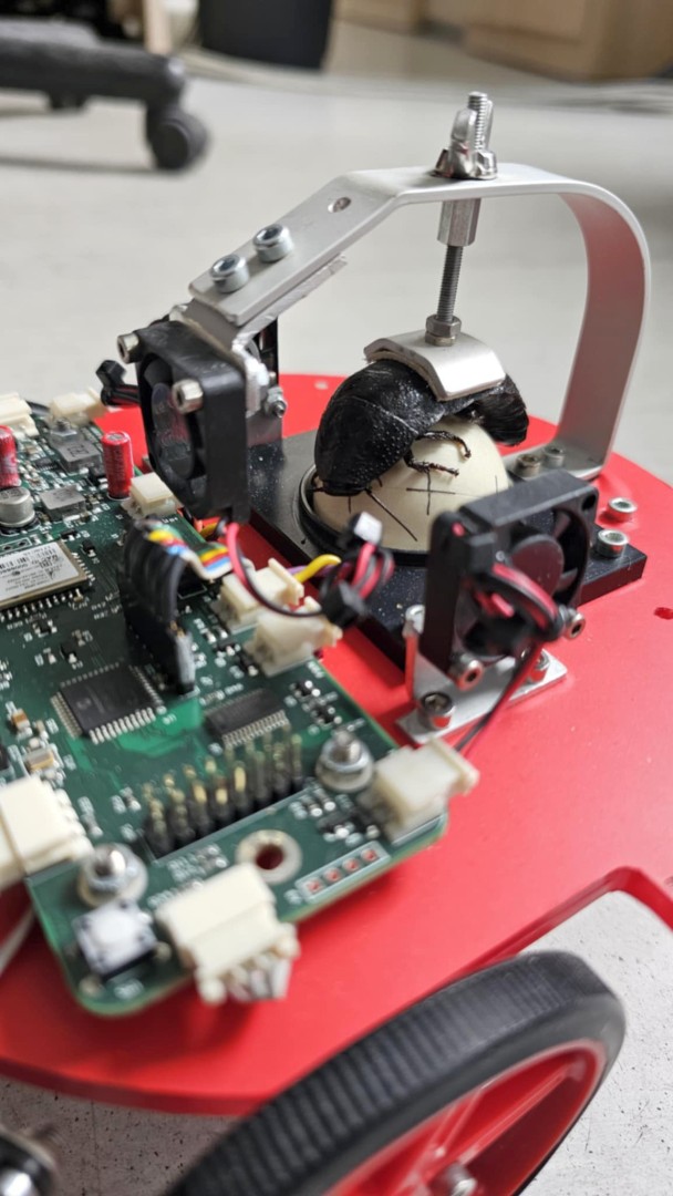 mobile robot pic 3